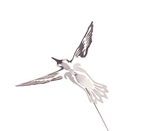 Flower Plug Hummingbird