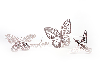 Plant Plugs|Flower jewel "Dragonfly" - Afbeelding 3