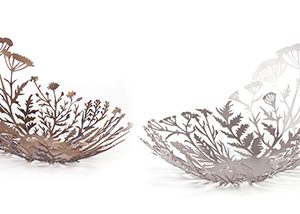 Onkruidschaal Fluitenkruid