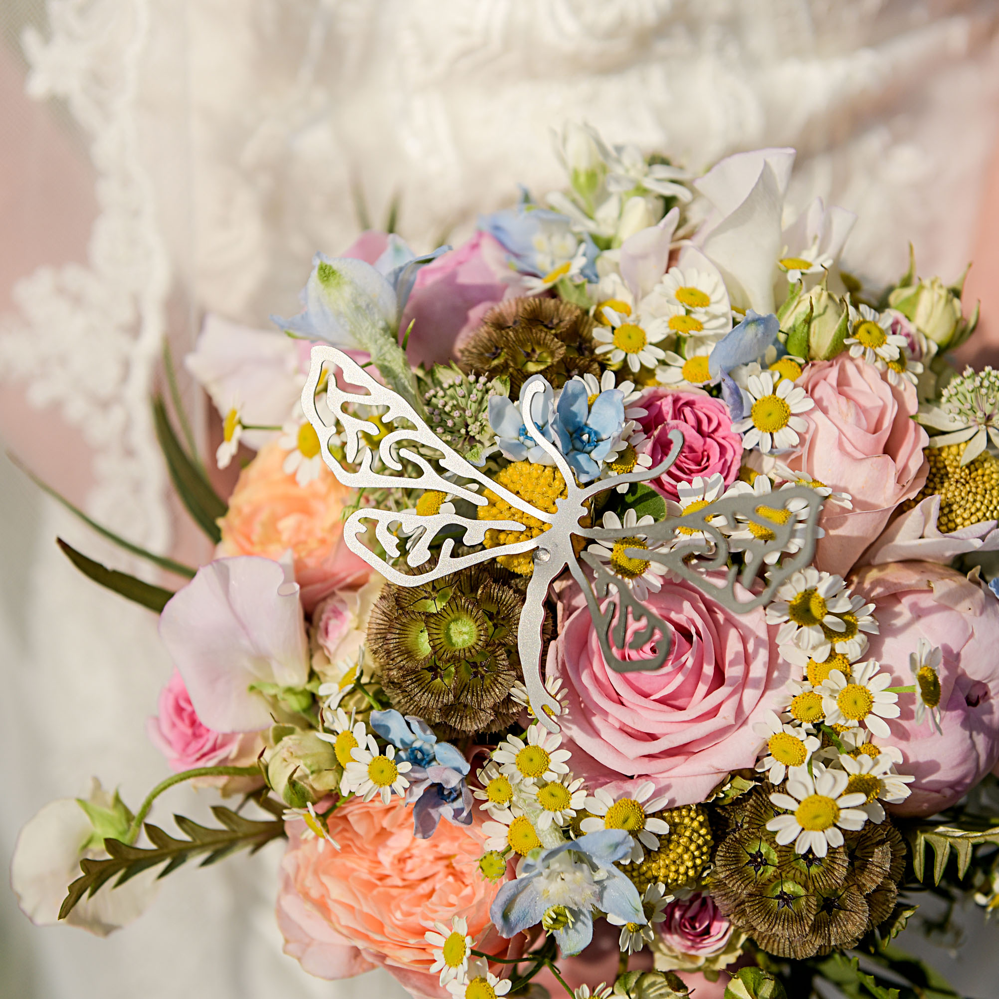 Plant Plugs|Flower jewel "Dragonfly" - Afbeelding 6