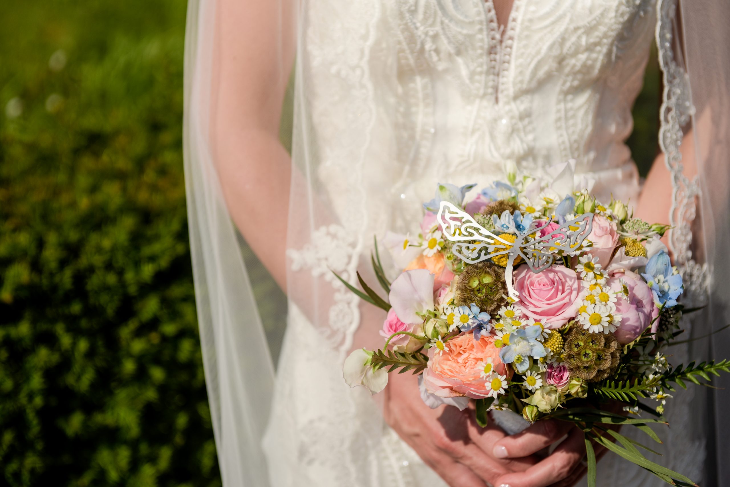 Plant Plugs|Flower jewel "Dragonfly" - Afbeelding 5