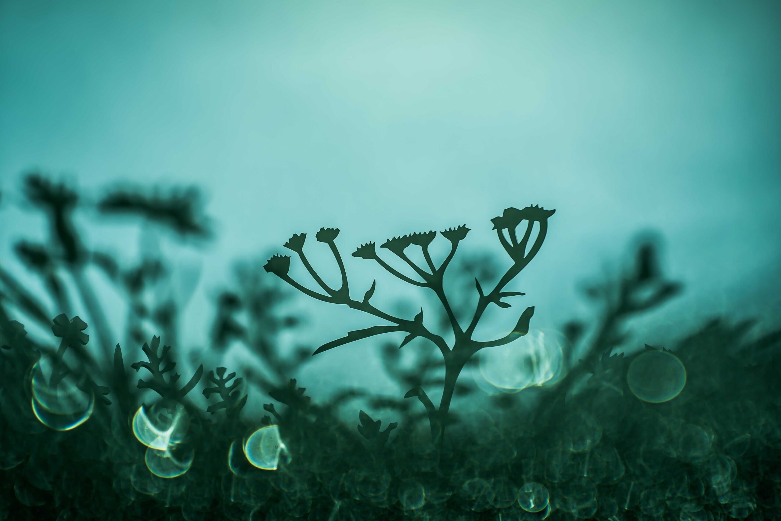 Weed|Wildflowers Bowl "Hemlock" - Afbeelding 12