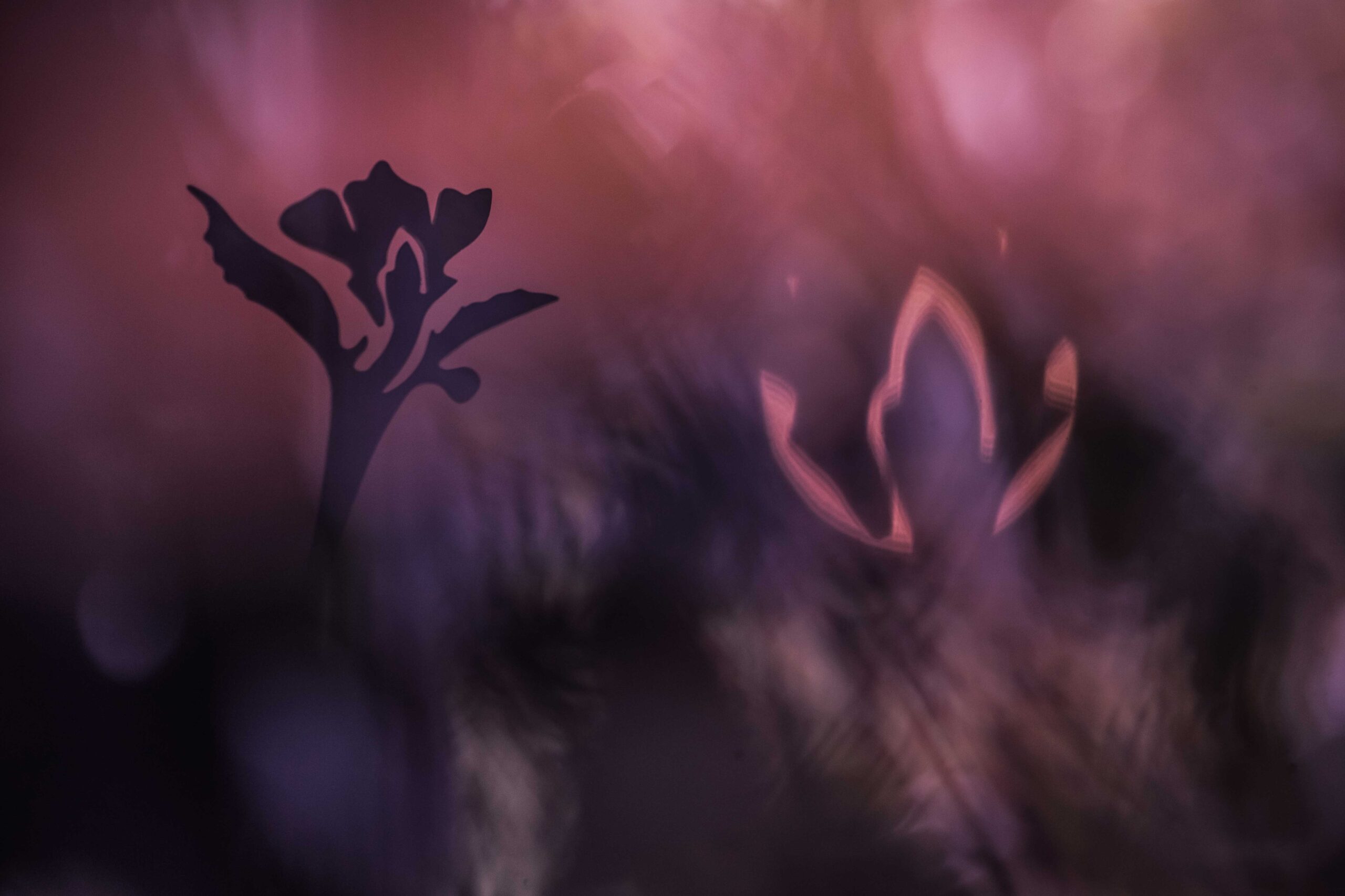 Tea Spoon - Afbeelding 5